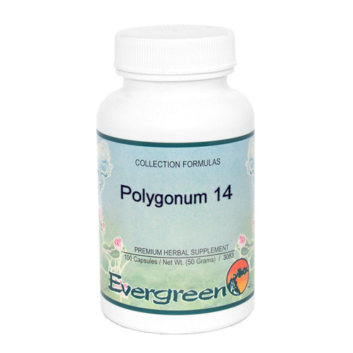 Polygonum 14 - Evergreen Capsules 100ct
